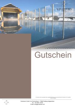 Gemütlicher Wintertag Pool und Sauna Haus im Winter bei Schnee